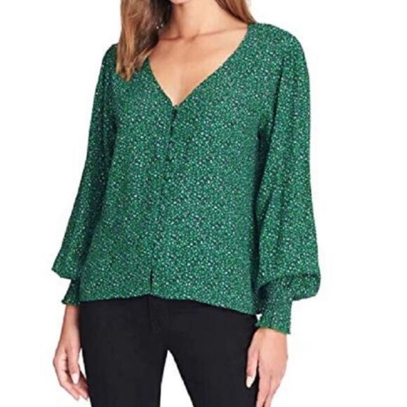 NWT Sanctuary Noell Green Blouse Leopard Print Chiffon Office Casual Corpcore - Picture 1 of 15